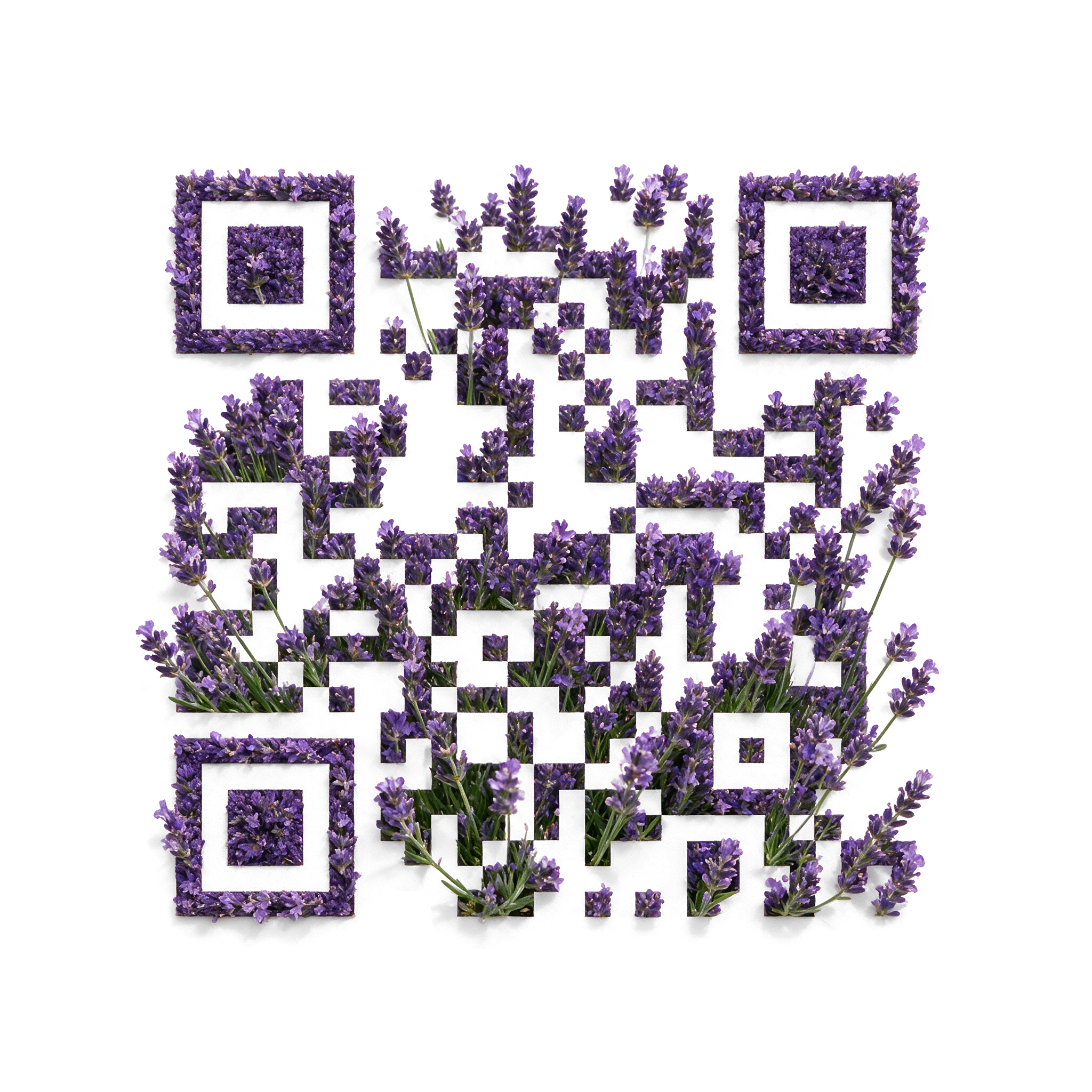 Lavender Creative QR with purple flower stems integrated into connected modules